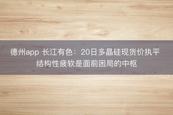 德州app 长江有色：20日多晶硅现货价执平 结构性疲软是面前困局的中枢