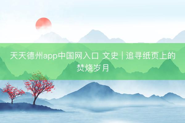 天天德州app中国网入口 文史 | 追寻纸页上的焚烧岁月