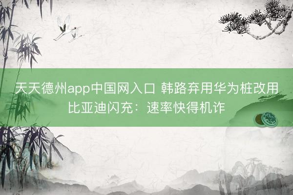 天天德州app中国网入口 韩路弃用华为桩改用比亚迪闪充：速率快得机诈