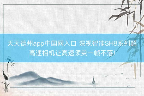 天天德州app中国网入口 深视智能SH8系列超高速相机让高速须臾一帧不落!