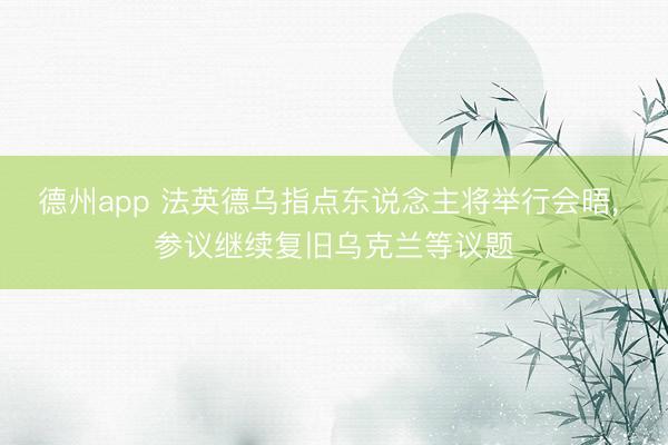 德州app 法英德乌指点东说念主将举行会晤， 参议继续复旧乌克兰等议题