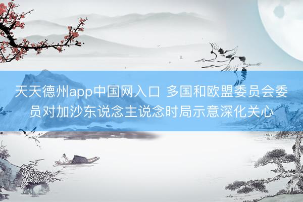 天天德州app中国网入口 多国和欧盟委员会委员对加沙东说念主说念时局示意深化关心