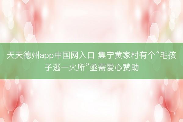 天天德州app中国网入口 集宁黄家村有个“毛孩子逃一火所”亟需爱心赞助