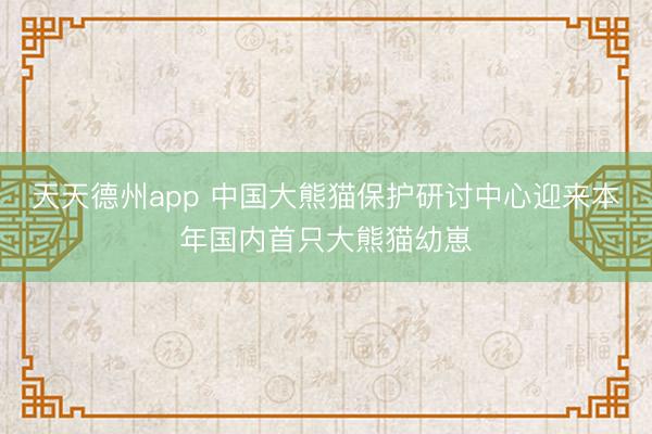 天天德州app 中国大熊猫保护研讨中心迎来本年国内首只大熊猫幼崽