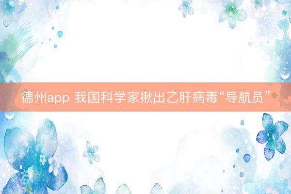 德州app 我国科学家揪出乙肝病毒“导航员”