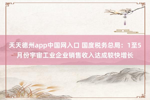 天天德州app中国网入口 国度税务总局：1至5月份宇宙工业企业销售收入达成较快增长